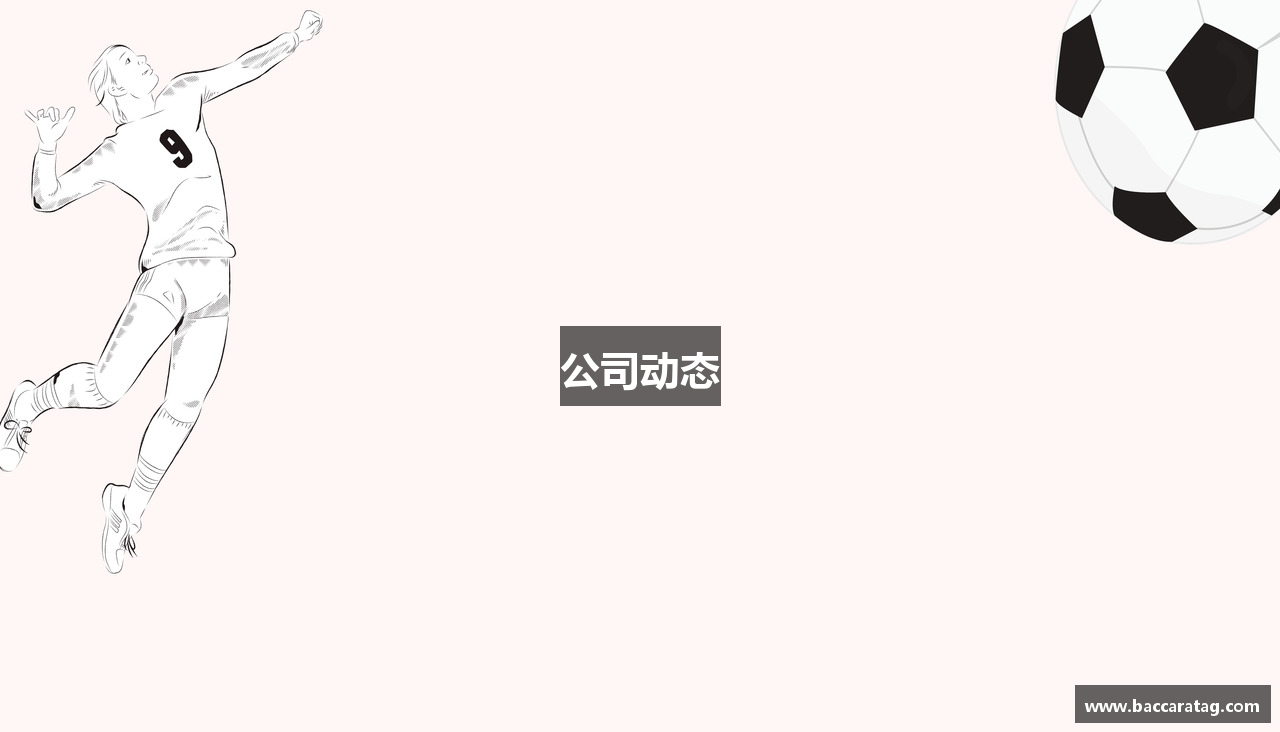 公司动态